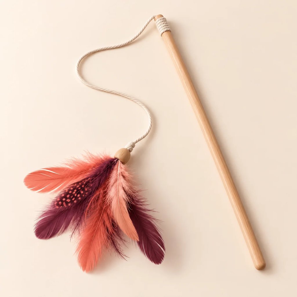 Feather dance · Cat teaser